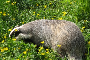 natur1.jpg